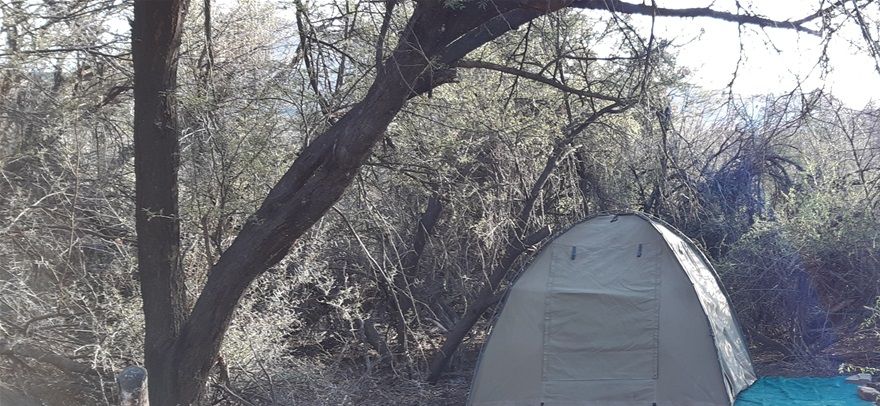 Bush camp